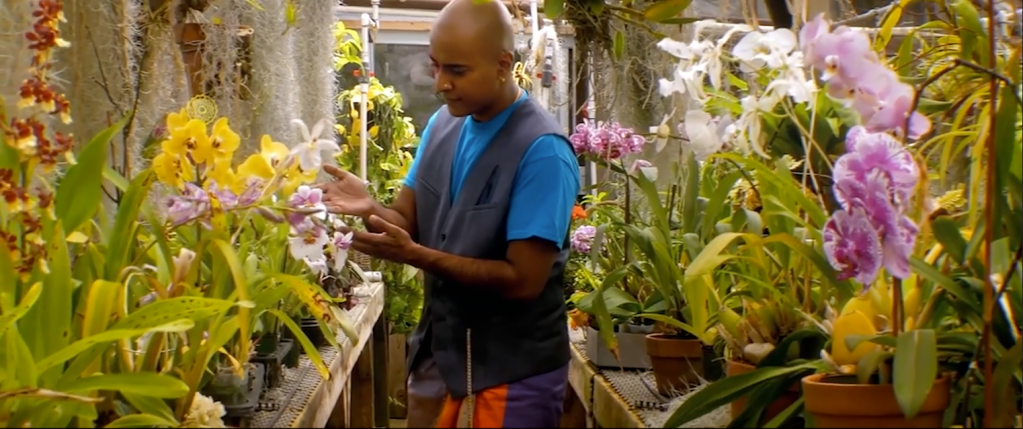 Cinematography Reels